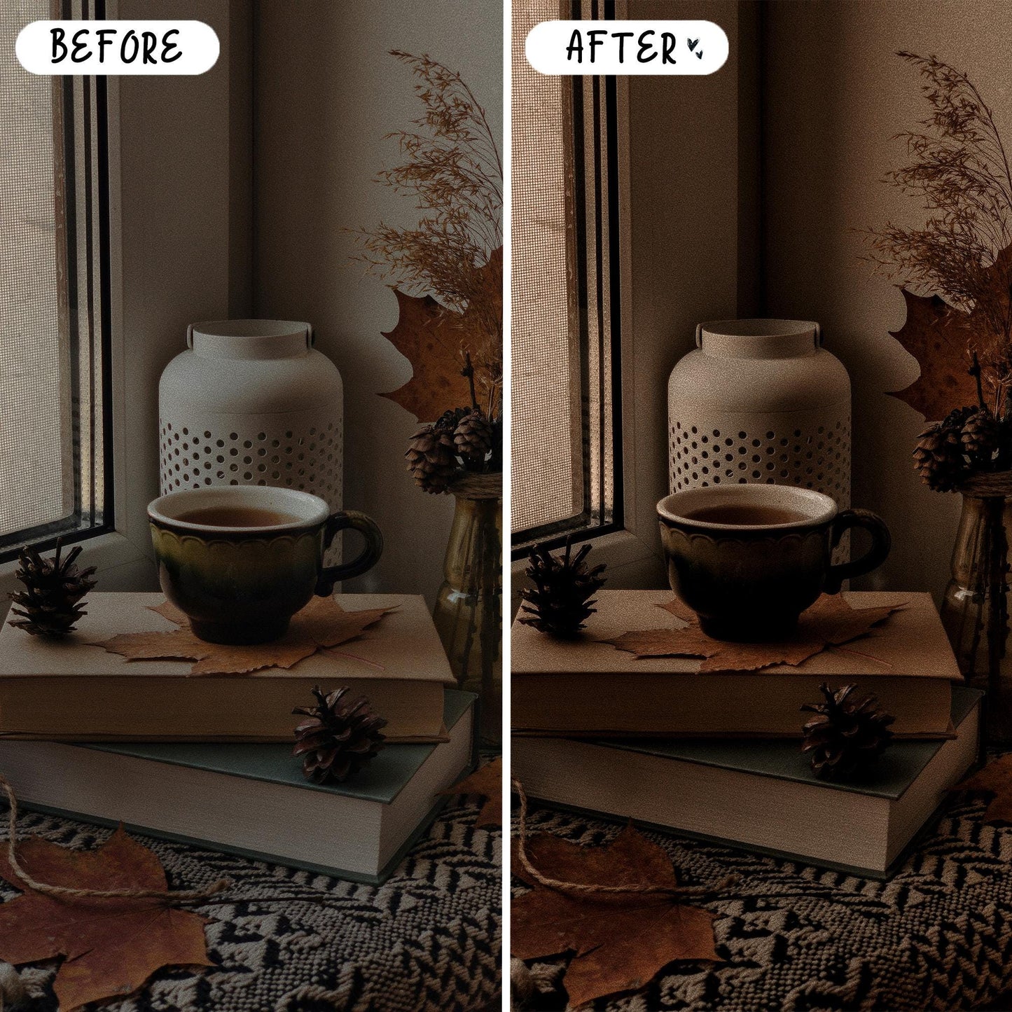 10 Books LIGHTROOM Presets Mobile & Desktop
