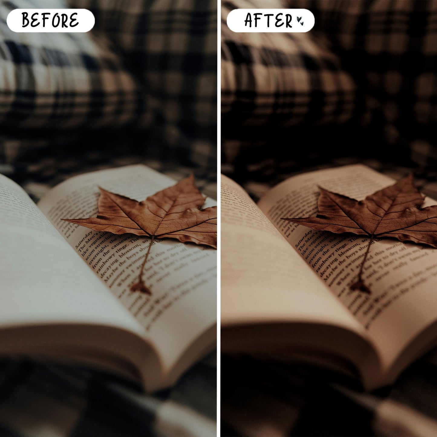 10 Books LIGHTROOM Presets Mobile & Desktop