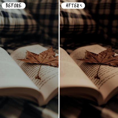 10 Books LIGHTROOM Presets Mobile & Desktop