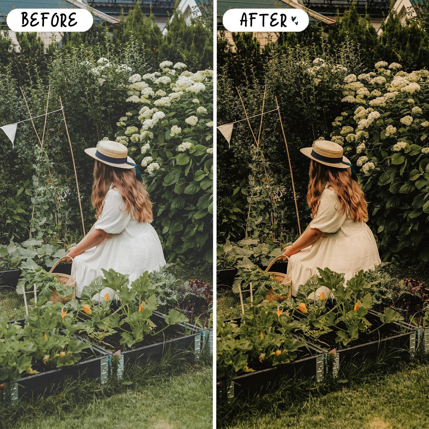 10 Organic LIGHTROOM Presets Mobile & Desktop