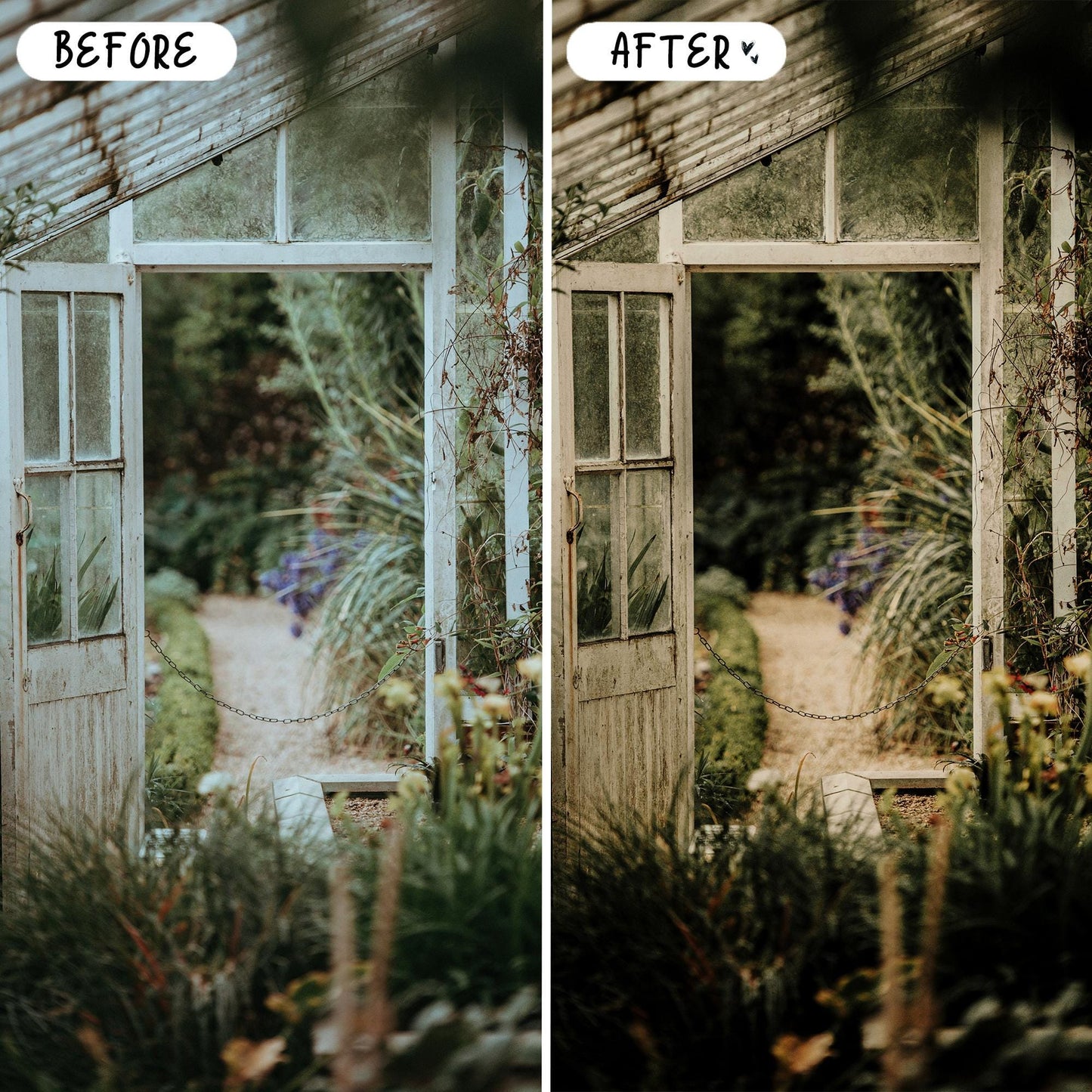 10 Organic LIGHTROOM Presets Mobile & Desktop