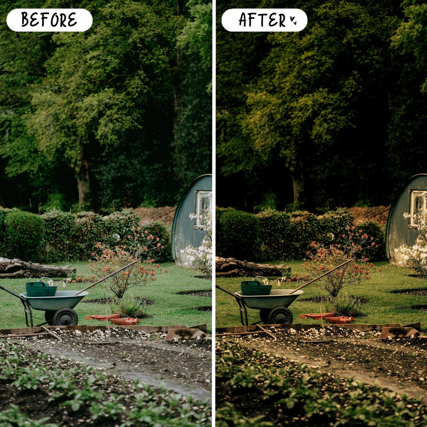 10 Organic LIGHTROOM Presets Mobile & Desktop
