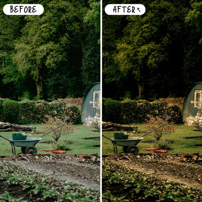 10 Organic LIGHTROOM Presets Mobile & Desktop