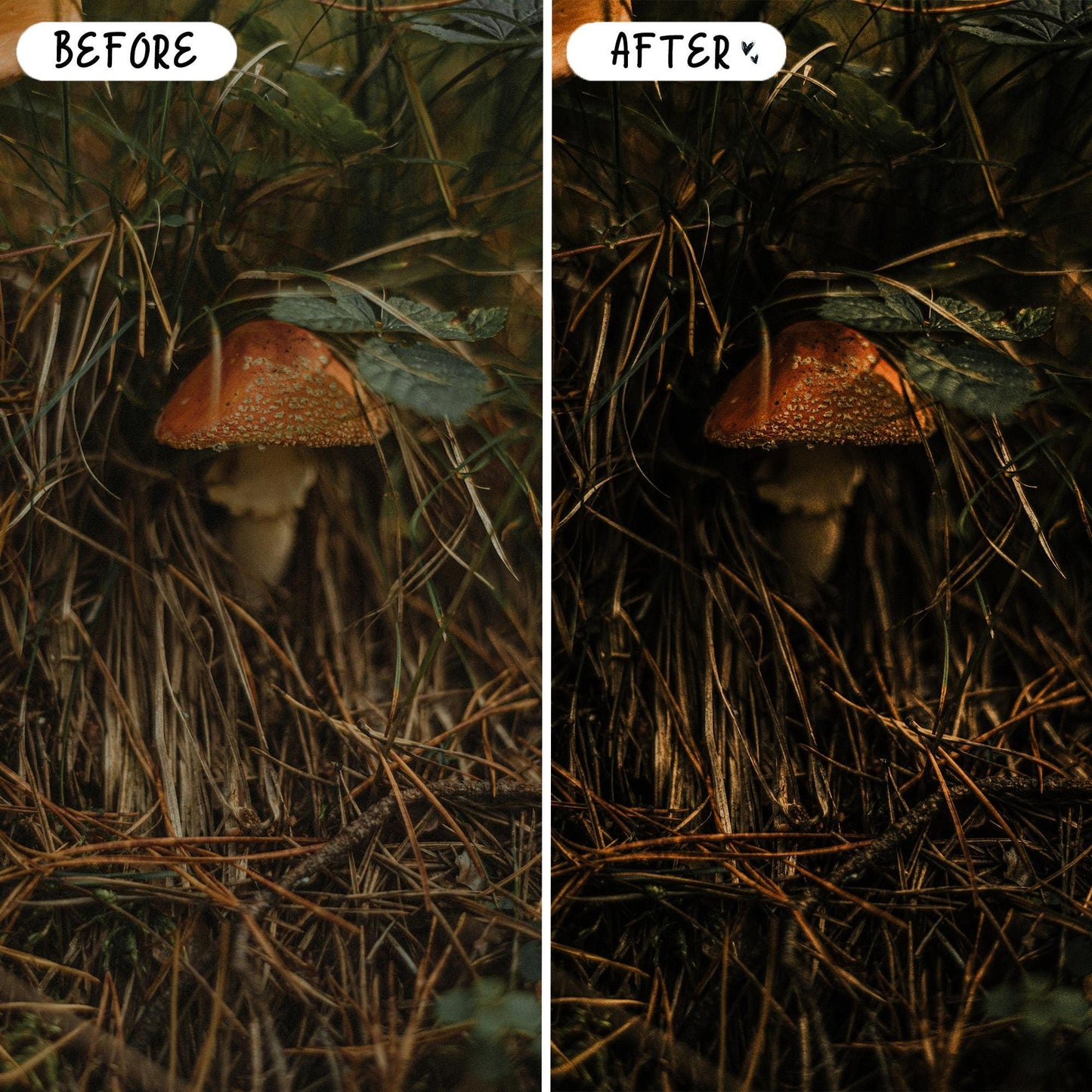 10 Moody LIGHTROOM Presets Mobile & Desktop
