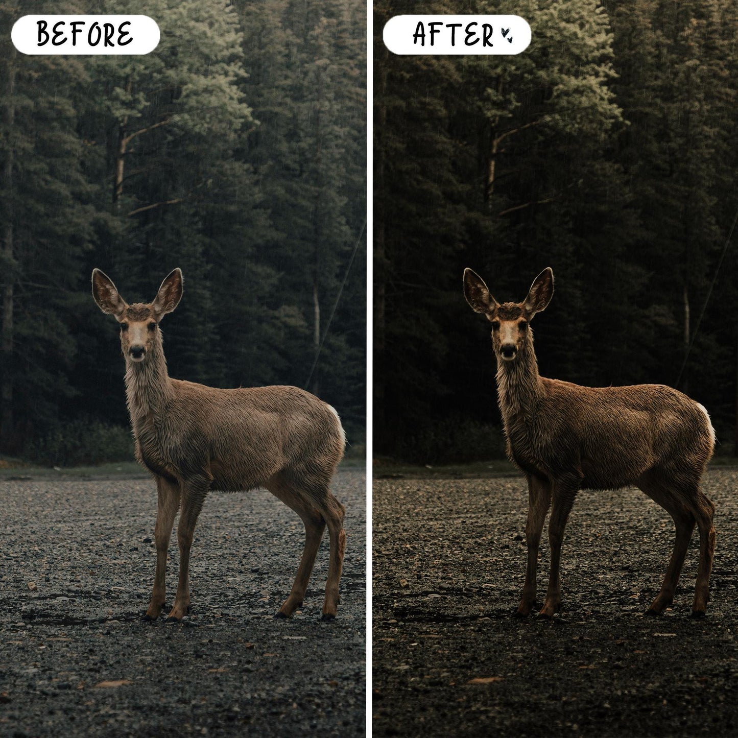 10 Moody LIGHTROOM Presets Mobile & Desktop
