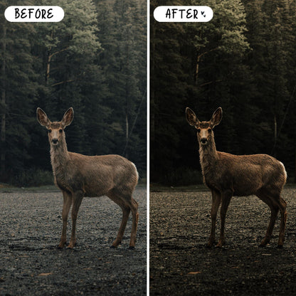 10 Moody LIGHTROOM Presets Mobile & Desktop
