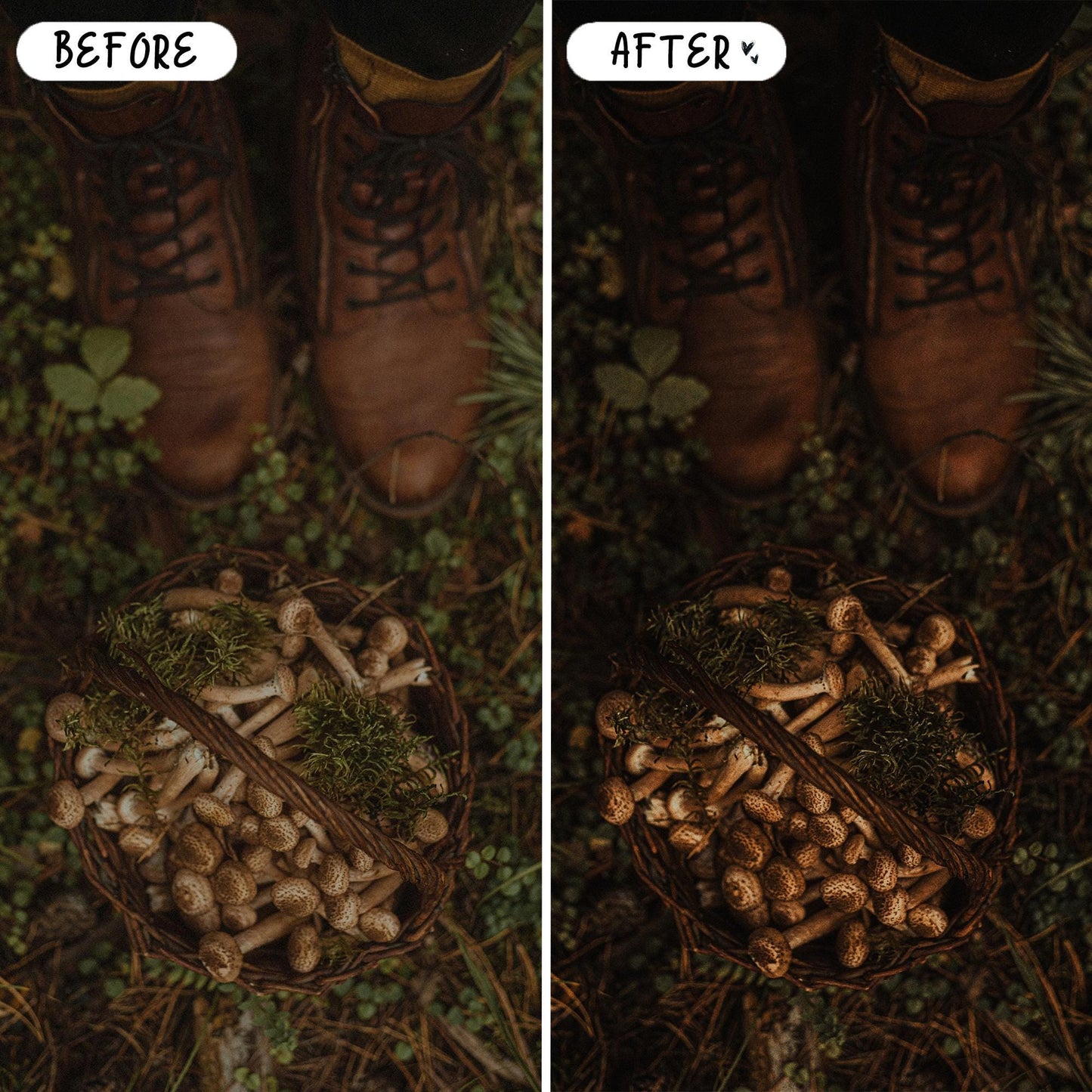 10 Magical LIGHTROOM Presets Mobile & Desktop