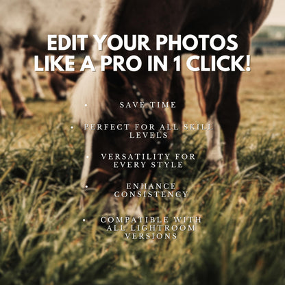 10 Equine LIGHTROOM Presets Mobile & Desktop