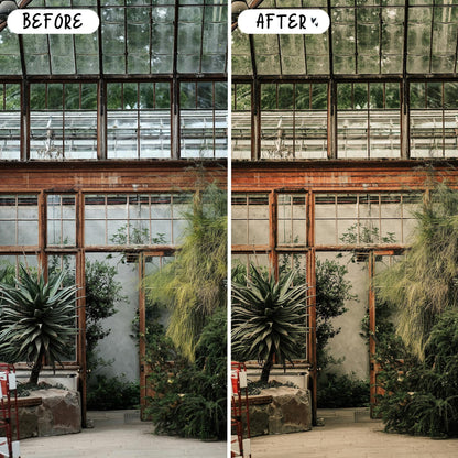 10 Sage LIGHTROOM Presets Mobile & Desktop