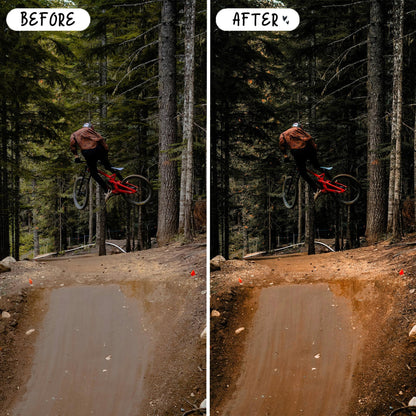 10 Action LIGHTROOM Presets Mobile & Desktop