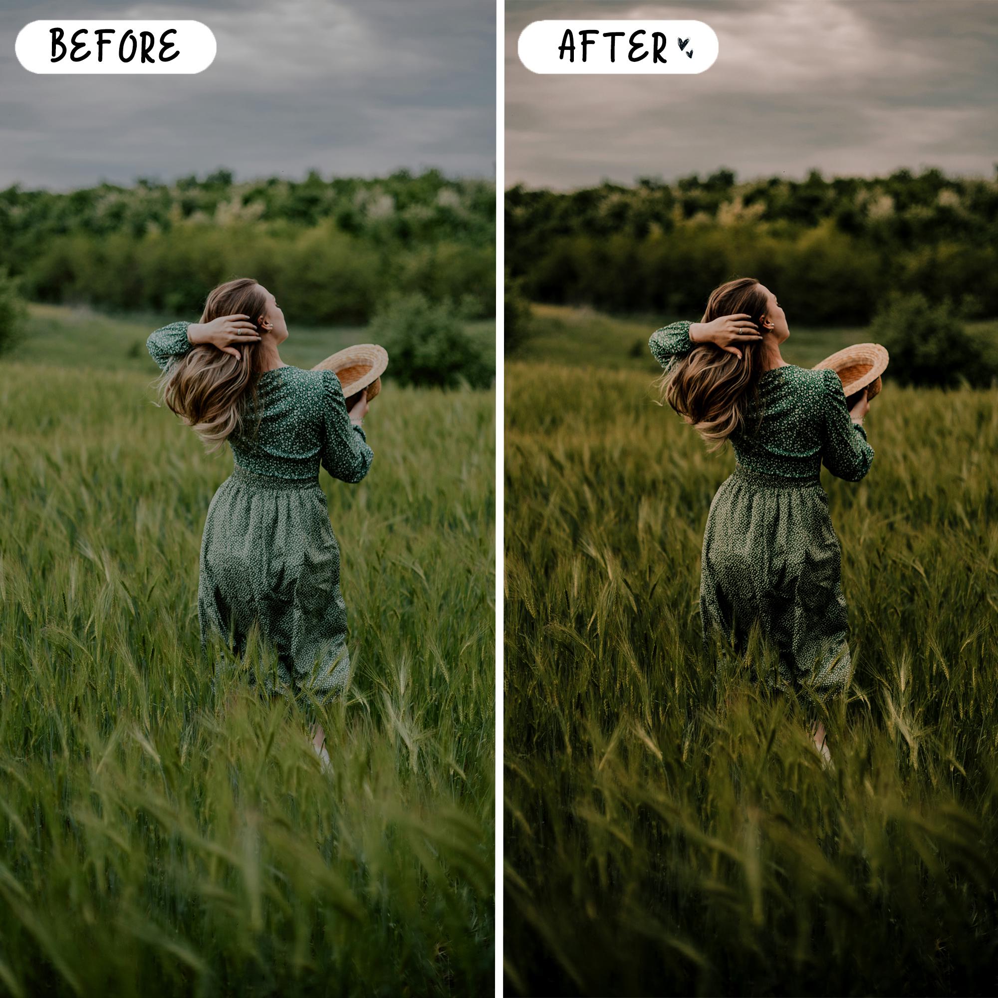 10 Farm LIGHTROOM Presets Mobile & Desktop