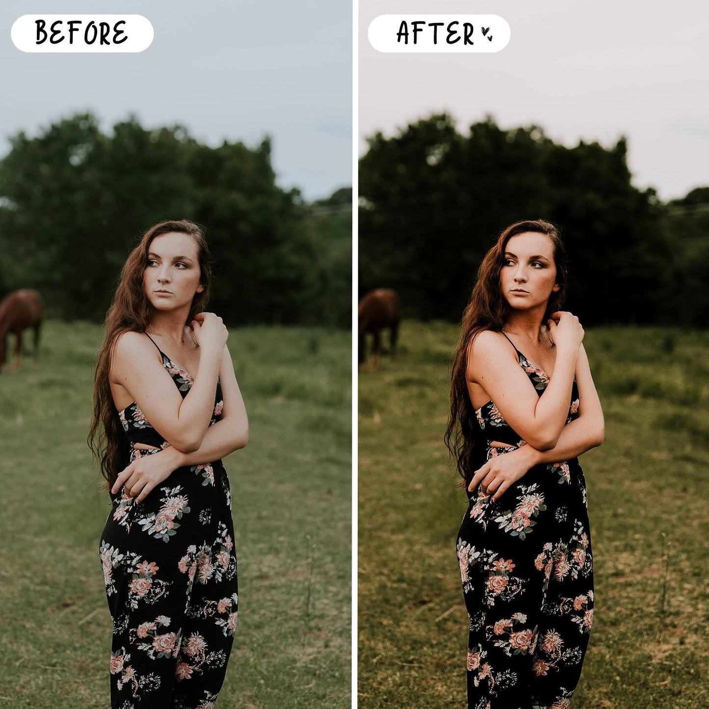 10 Farm LIGHTROOM Presets Mobile & Desktop
