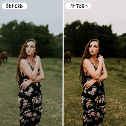 10 Farm LIGHTROOM Presets Mobile & Desktop