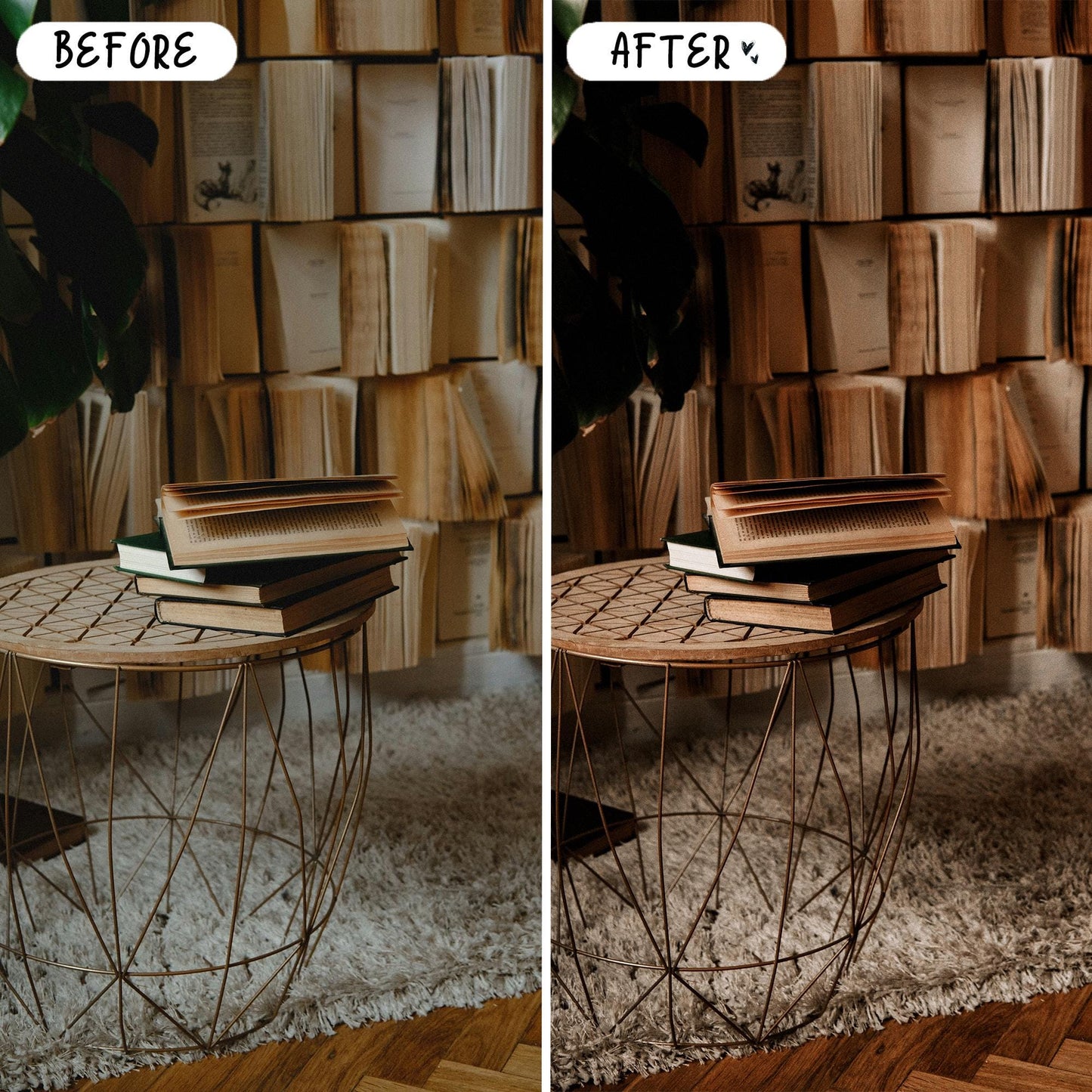 10 Books LIGHTROOM Presets Mobile & Desktop
