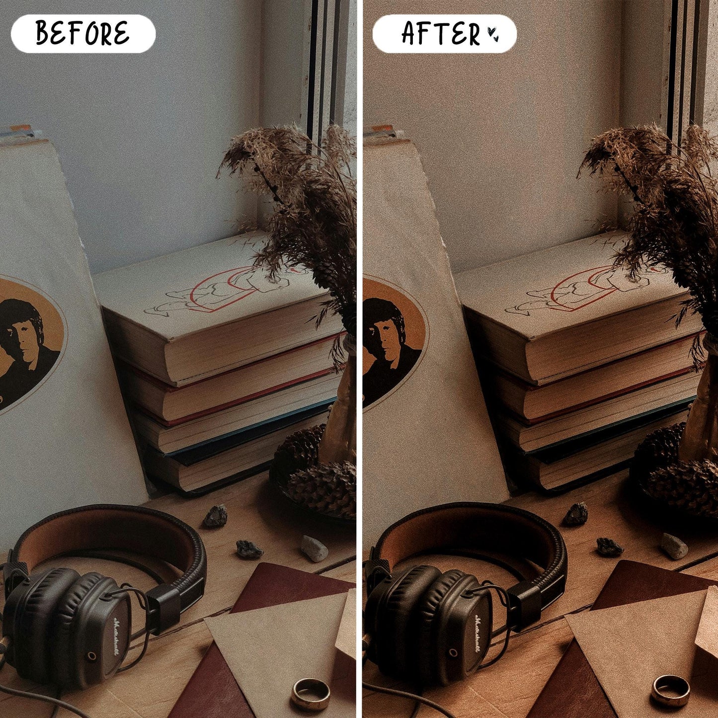 10 Books LIGHTROOM Presets Mobile & Desktop
