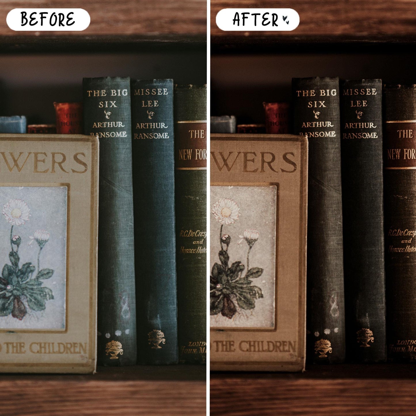 10 Books LIGHTROOM Presets Mobile & Desktop