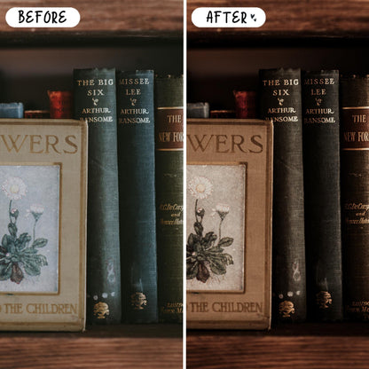 10 Books LIGHTROOM Presets Mobile & Desktop