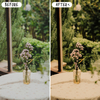 10 Organic LIGHTROOM Presets Mobile & Desktop