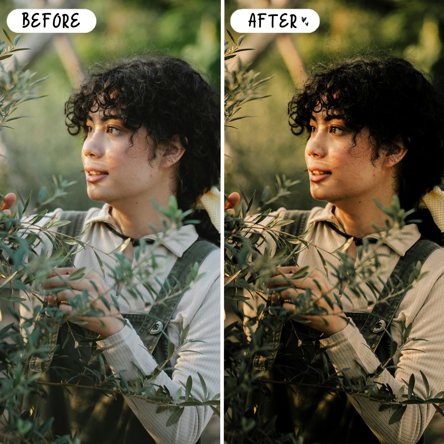 10 Organic LIGHTROOM Presets Mobile & Desktop
