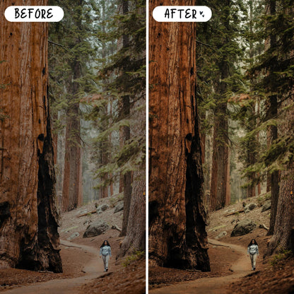 10 Moody LIGHTROOM Presets Mobile & Desktop