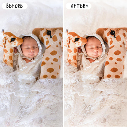 10 Bebe LIGHTROOM Presets Mobile & Desktop