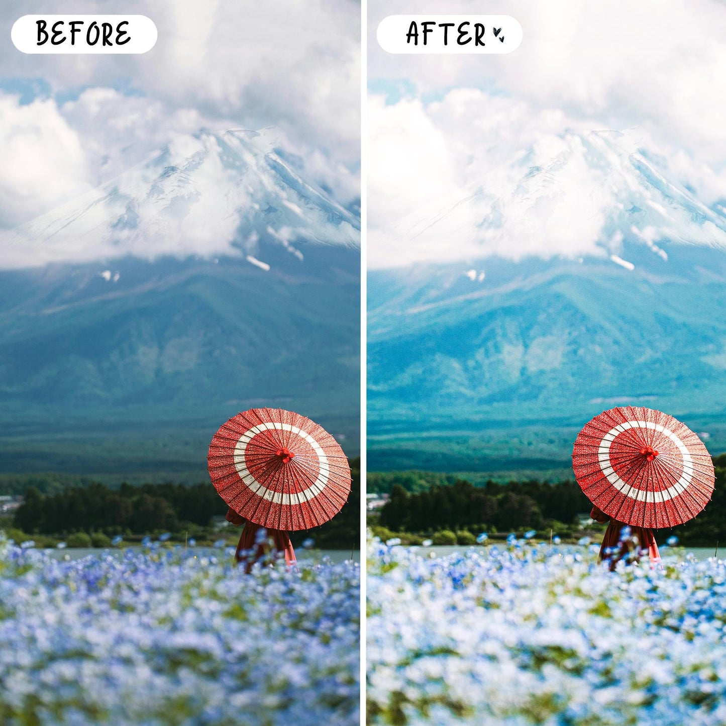 10 Japan LIGHTROOM Presets Mobile & Desktop