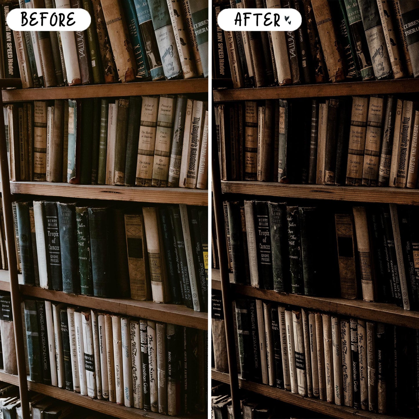 10 Academia LIGHTROOM Presets Mobile & Desktop