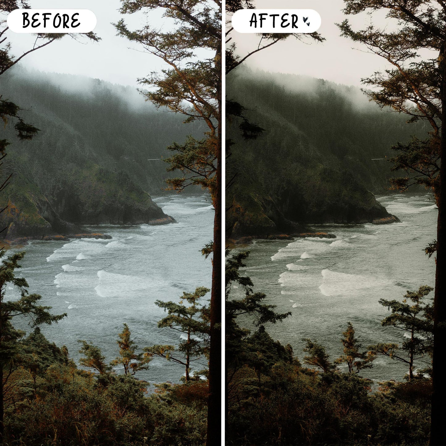 10 Nature LIGHTROOM Presets Mobile & Desktop