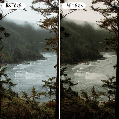10 Nature LIGHTROOM Presets Mobile & Desktop