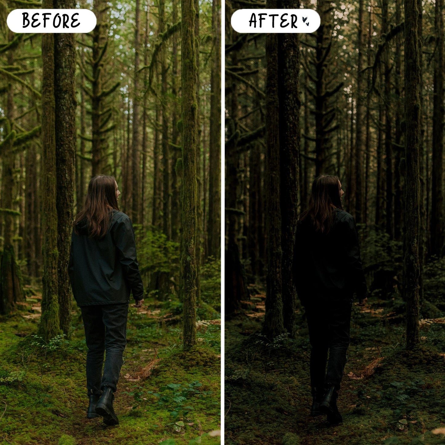 10 Nature LIGHTROOM Presets Mobile & Desktop