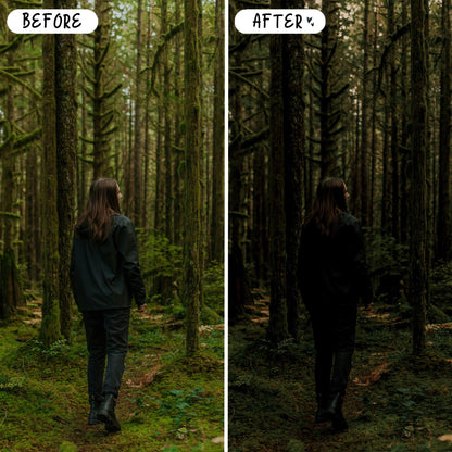 10 Nature LIGHTROOM Presets Mobile & Desktop