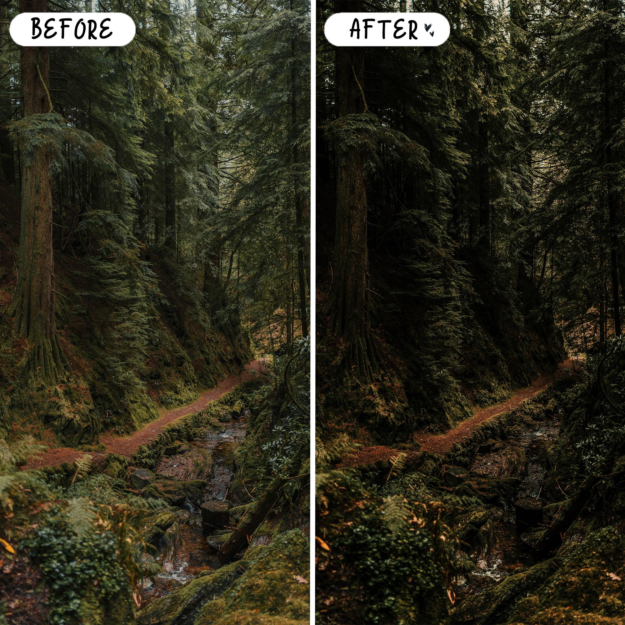 10 Forest LIGHTROOM Presets Mobile & Desktop