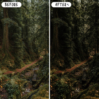 10 Forest LIGHTROOM Presets Mobile & Desktop