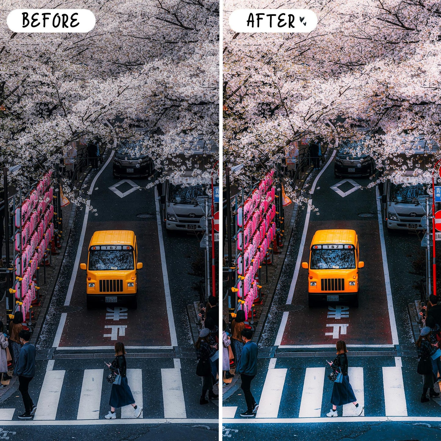10 Japan LIGHTROOM Presets Mobile & Desktop