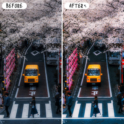 10 Japan LIGHTROOM Presets Mobile & Desktop