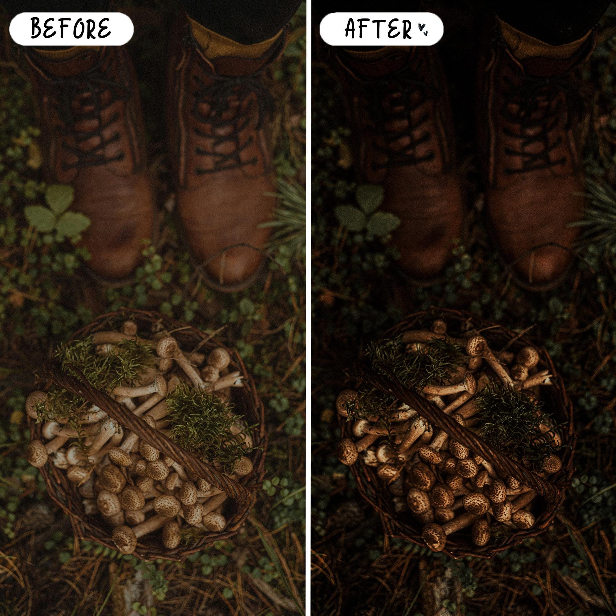 10 Forest LIGHTROOM Presets Mobile & Desktop