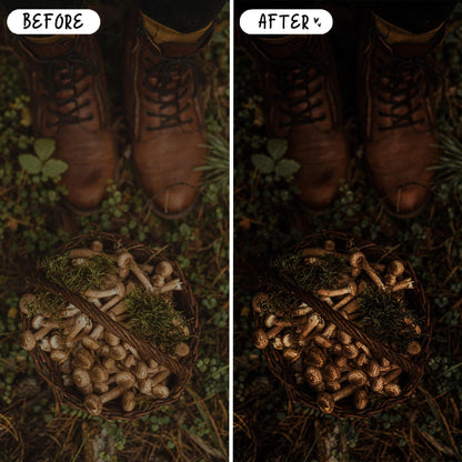 10 Forest LIGHTROOM Presets Mobile & Desktop