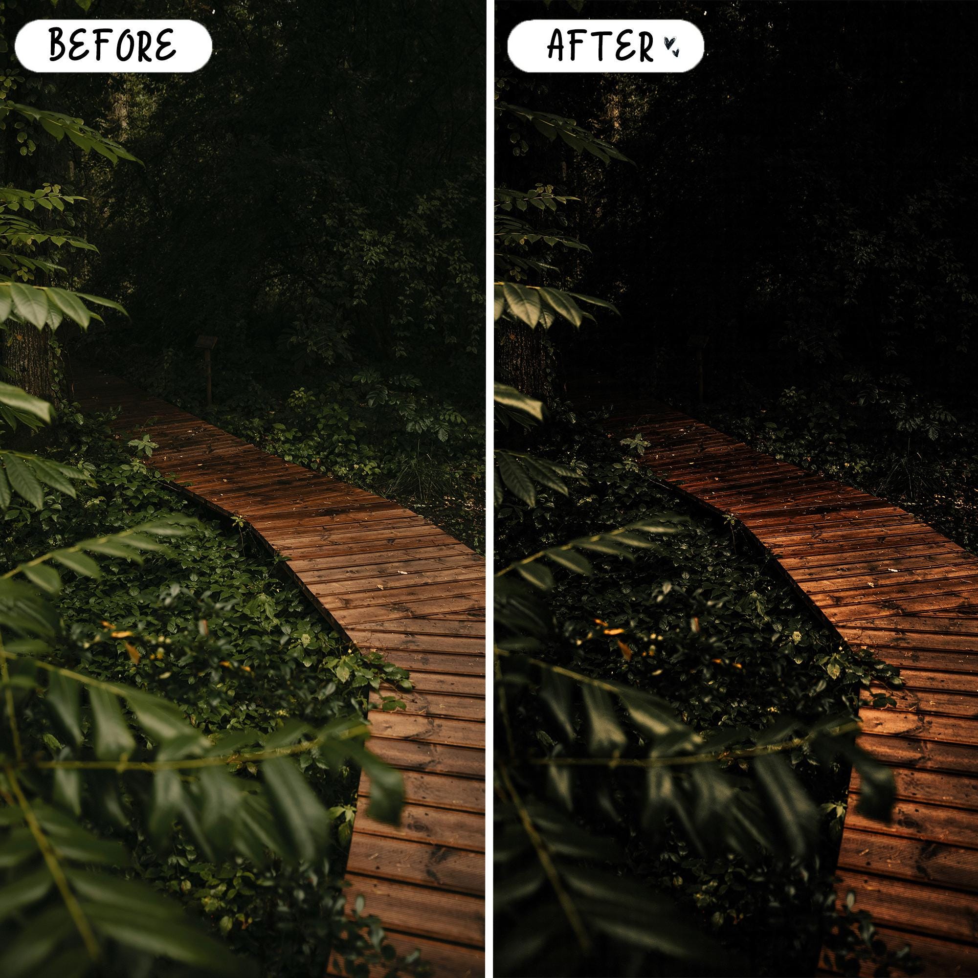 10 Forest LIGHTROOM Presets Mobile & Desktop