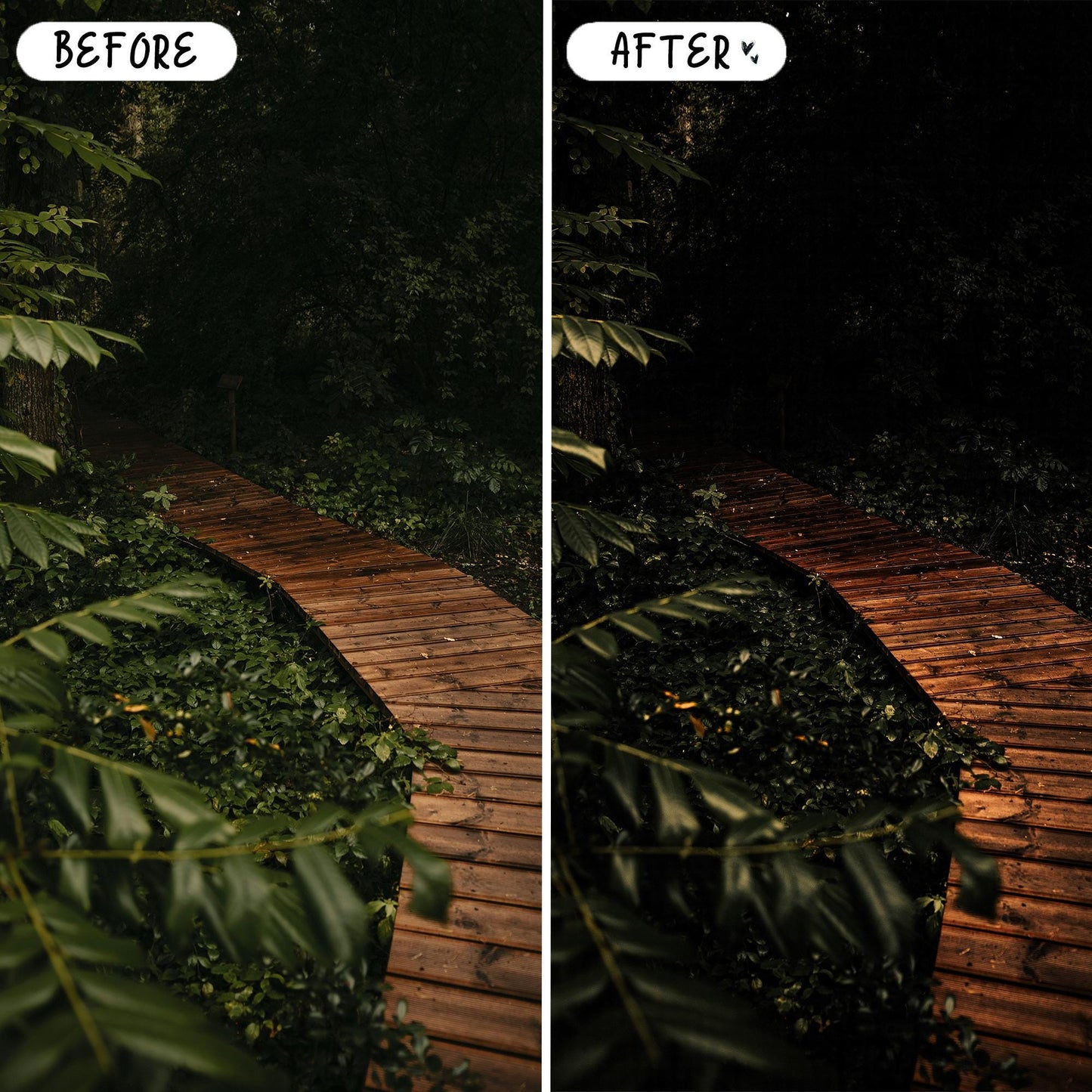 10 Forest LIGHTROOM Presets Mobile & Desktop