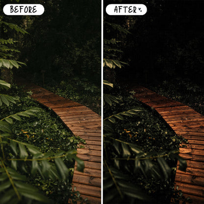 10 Forest LIGHTROOM Presets Mobile & Desktop