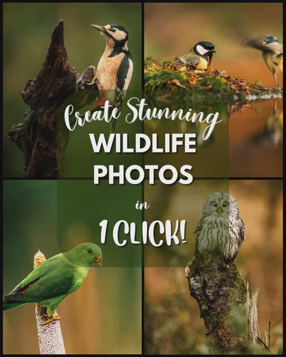 10 Wildlife LIGHTROOM Presets Mobile & Desktop