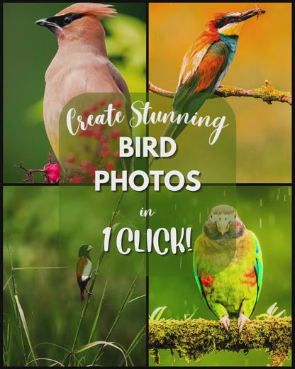 10 Birds LIGHTROOM Presets Mobile & Desktop