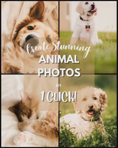 10 Pet LIGHTROOM Presets Mobile & Desktop