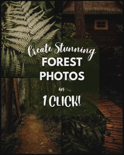 10 Forest LIGHTROOM Presets Mobile & Desktop