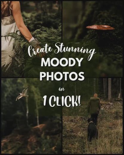 10 Moody LIGHTROOM Presets Mobile & Desktop