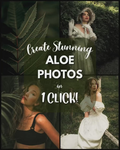 10 Aloe LIGHTROOM Presets Mobile & Desktop