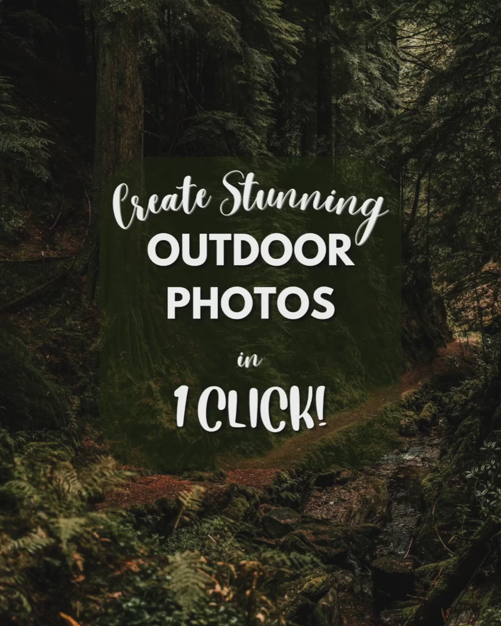 Woodland — Outdoor Preset Bundle